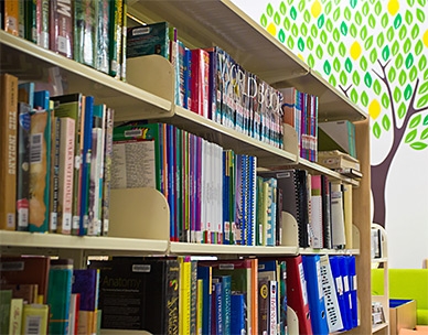 Library Facility at Colors Public School.